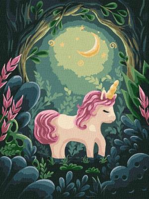 Opakowanie Malowanie po numerach - Dziwny jednorożec 30x40cm