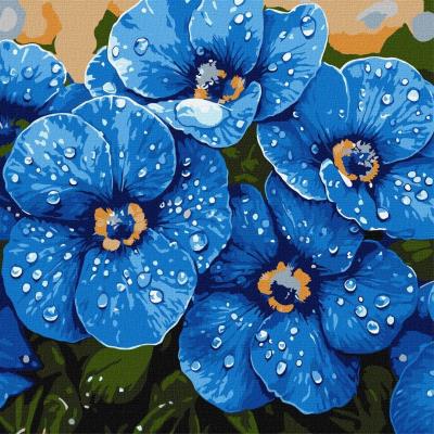 Opakowanie Malowanie po numerach - Fiołki w rosie 40x40cm