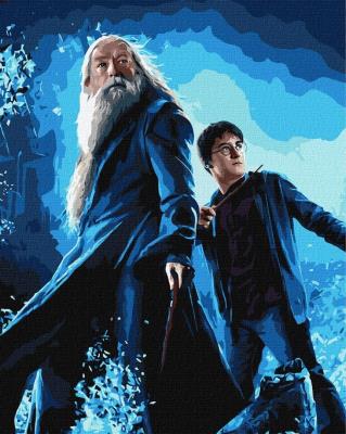 Opakowanie Malowanie po numerach - Harry Potter 40x50cm