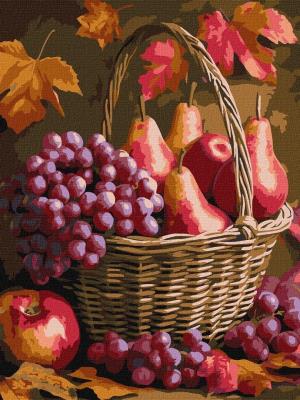 Opakowanie Malowanie po numerach - Jesienne owoce 30x40cm