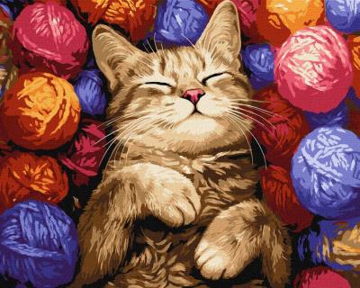 Opakowanie Malowanie po numerach - Kot w plątaninie 40x50cm