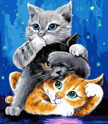 Opakowanie Malowanie po numerach - Kotki 40x50cm
