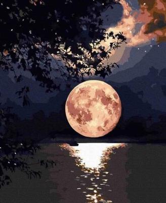 Opakowanie Malowanie po numerach - Księżycowa noc 40x50cm