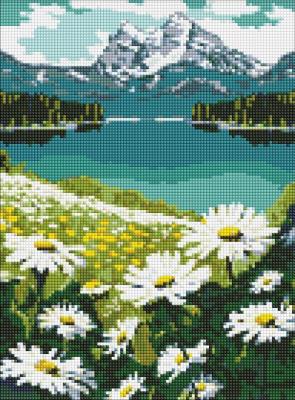 Opakowanie Malowanie po numerach - Kwitnące stokrotki 30x40cm