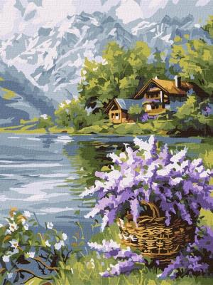 Opakowanie Malowanie po numerach - Liliowy kosz 30x40cm