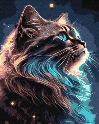 Opakowanie Malowanie po numerach - Magia kosmosu 40x50cm