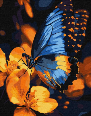 Opakowanie Malowanie po numerach - Migotanie skrzydeł 30x40cm