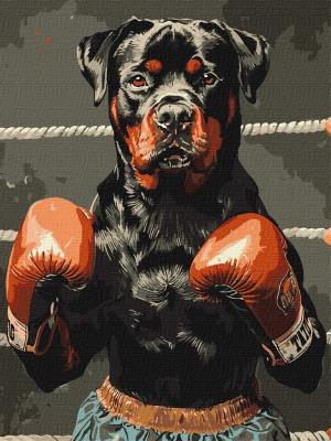 Opakowanie Malowanie po numerach - Moc ringu 30x40cm