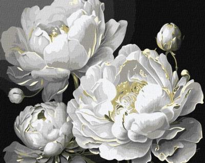 Opakowanie Malowanie po numerach - Nieskazitelne piękno 40x50