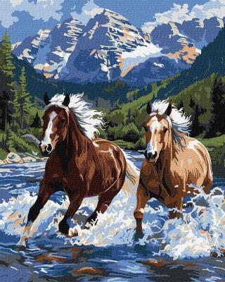 Opakowanie Malowanie po numerach - Siła w ruchu 40x50cm