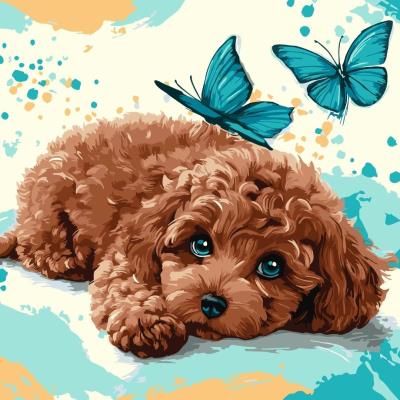 Opakowanie Malowanie po numerach - Uroczy pudel 40x40cm