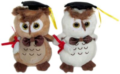 Opakowanie Maskotka Sowa absolwent 15cm MIX