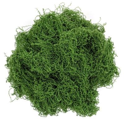 Opakowanie Mech dekoracyjny ciemnozielony 30g