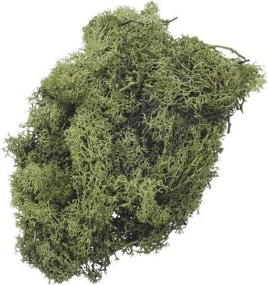 Opakowanie Mech dekoracyjny zielony 50g