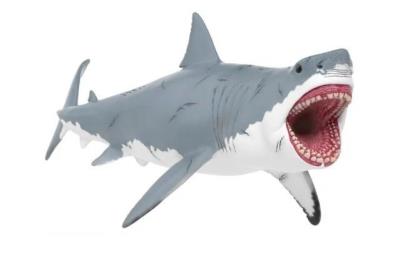 Opakowanie Megalodon