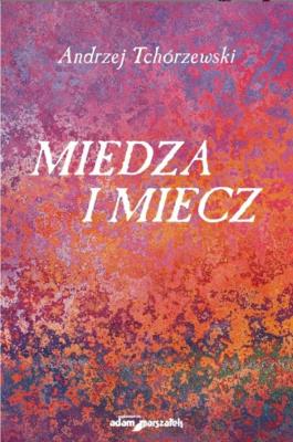 Okładka książki Miedza i miecz
