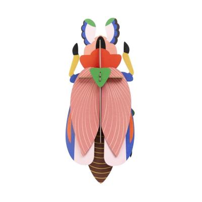 Opakowanie Model kartonowy 3D Wall Art - Beettles. Lady...