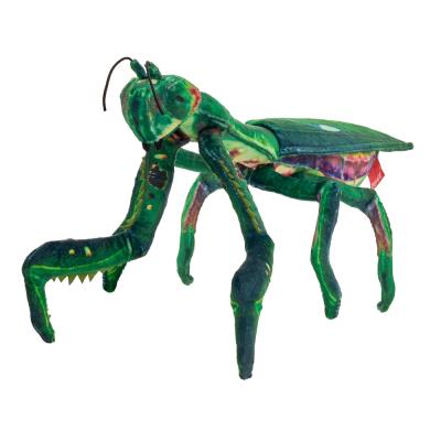 Modliszka 36cm. Wydawca: Beppe. SmakLiter.pl Opakowanie Modliszka 36cm