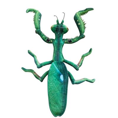 Opakowanie Modliszka