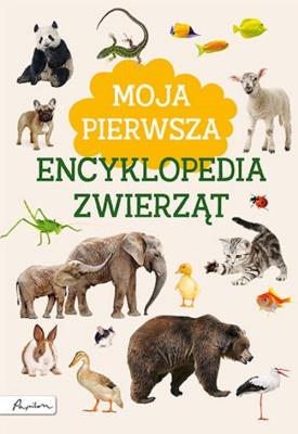 Moja pierwsza encyklopedia zwierząt wyd. 2022. Autor: Marta Kotecka. SmakLiter.pl Okładka książki Moja pierwsza encyklopedia zwierząt wyd. 2022