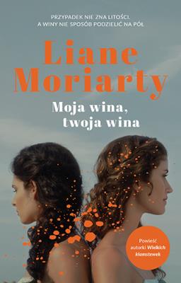 Okładka książki Moja wina, twoja wina
