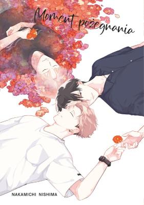 Okładka książki Moment pożegnania