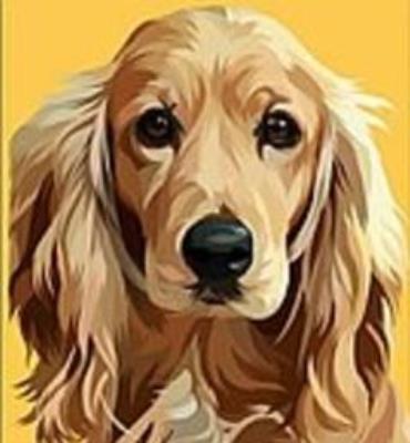 Opakowanie Mozaika diamentowa