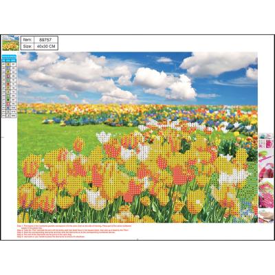 Opakowanie Mozaika diamentowa 5D kit 30x40 cm FLOWER FIELDS 89757 CENTRUM