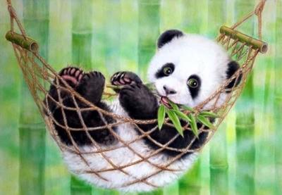 Opakowanie Mozaika diamentowa 5D - Panda w hamaku 40x30cm