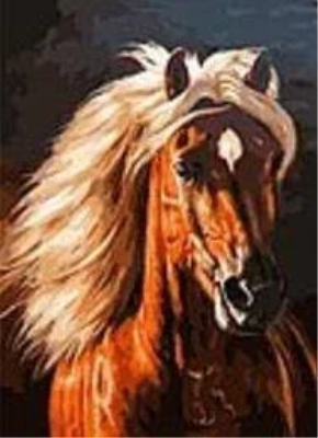 Opakowanie Mozaika diamentowa koń 40x50cm