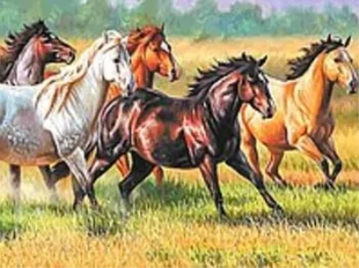 Opakowanie Mozaika diamentowa konie 30x40cm