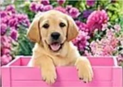 Opakowanie Mozaika diamentowa lablador 30x40cm