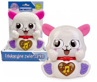 Opakowanie Muzyczna owieczka e-edu