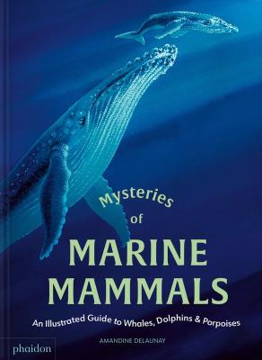 Okładka książki Mysteries of Marine Mammals. An Illustrated Guide to Whales, Dolphins, and Porpoises