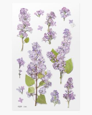 Opakowanie Naklejki ozdobne kwiaty Bez Lilak