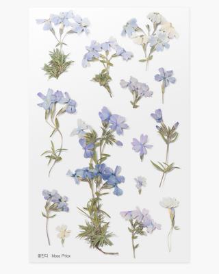 Opakowanie Naklejki ozdobne kwiaty Floks