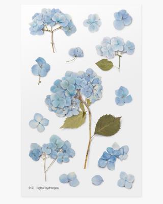 Opakowanie Naklejki ozdobne kwiaty Hortensja