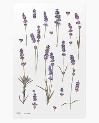 Opakowanie Naklejki ozdobne kwiaty Lawenda