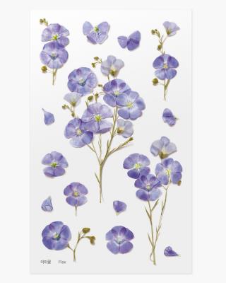 Opakowanie Naklejki ozdobne kwiaty Len zwyczajny