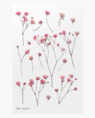 Opakowanie Naklejki ozdobne kwiaty Łyszczec