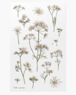 Opakowanie Naklejki ozdobne kwiaty Orlaja