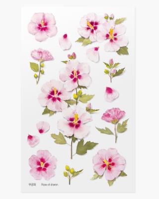 Opakowanie Naklejki ozdobne kwiaty Róża Sharon