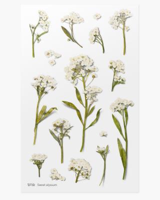 Opakowanie Naklejki ozdobne kwiaty Smagliczka