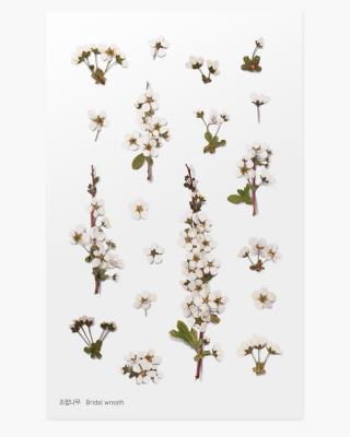 Opakowanie Naklejki ozdobne kwiaty Tawuła