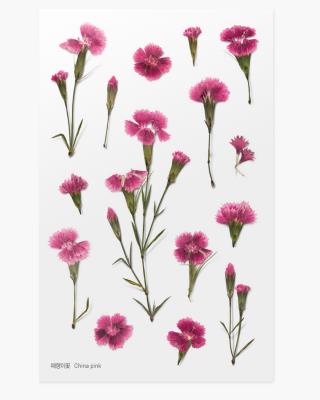 Opakowanie Naklejki ozdobne roślinne Starzec