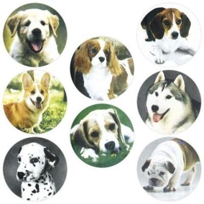 Opakowanie Naklejki papierowe na taśmie Psy 500szt