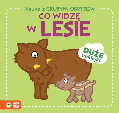 Okładka książki Nauka z grubym obrysem. Co widzę w lesie - uszkodzone