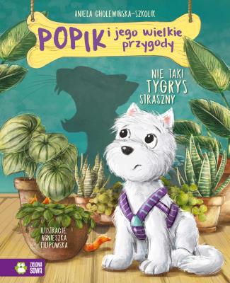 Okładka książki Nie taki tygrys straszny. Popik i jego wielkie przygody