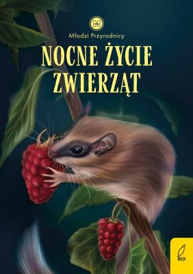 Okładka książki Nocne życie zwierząt. Młodzi przyrodnicy
