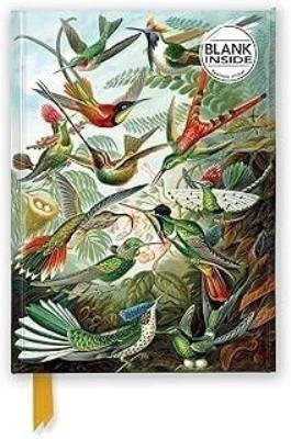 Opakowanie Notatnik A5 gładki TW Kolibry Ernst Haeckel